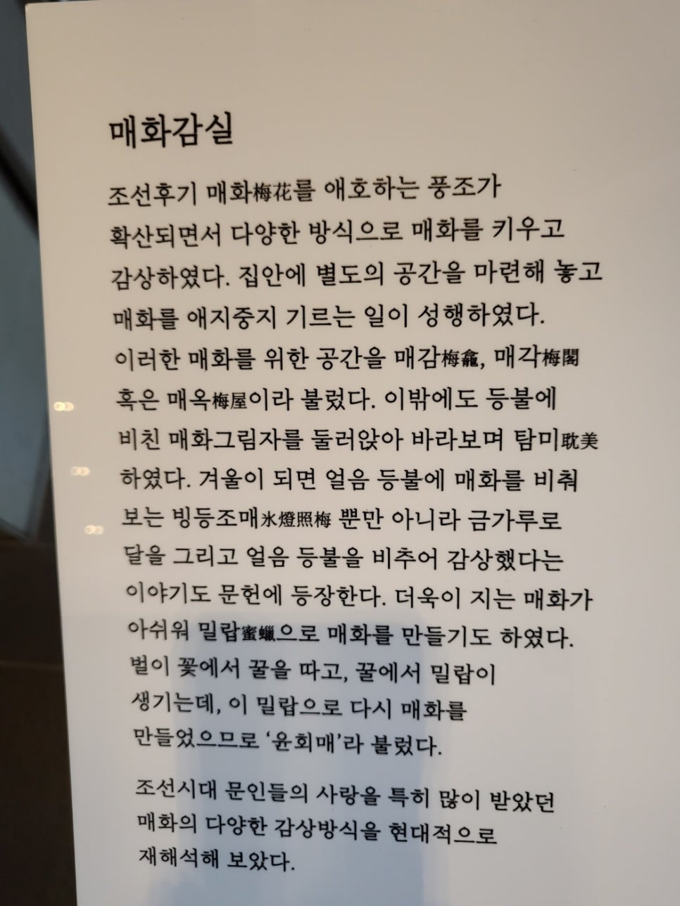 신사와나무 이미지