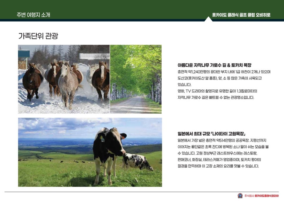 주식회사 여행천국 이미지