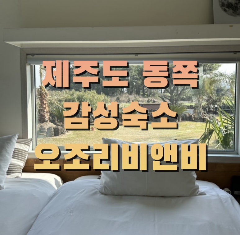 오조리비엔비 이미지