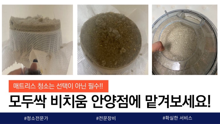 모두싹청소 이미지