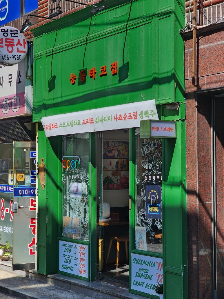 능동타코집 이미지