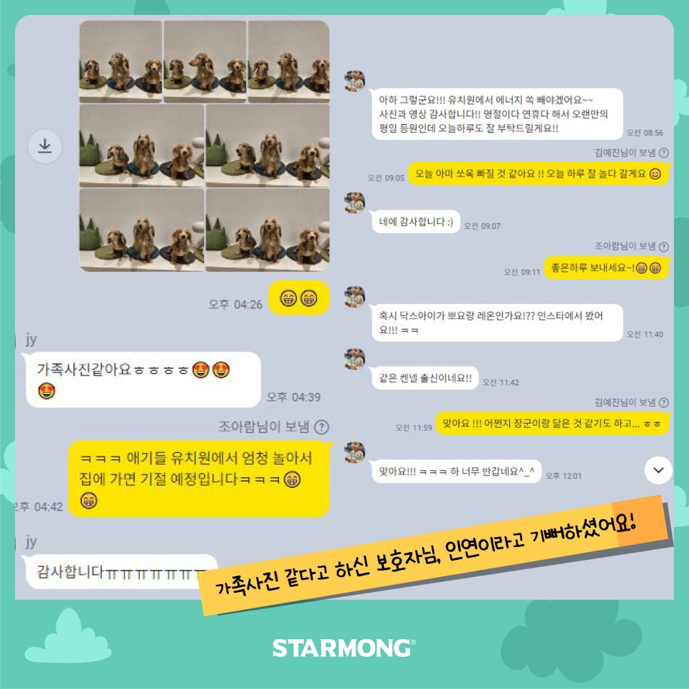 강남 강아지 유치원 스타몽, 첫날 적응 후기 — 사진 9