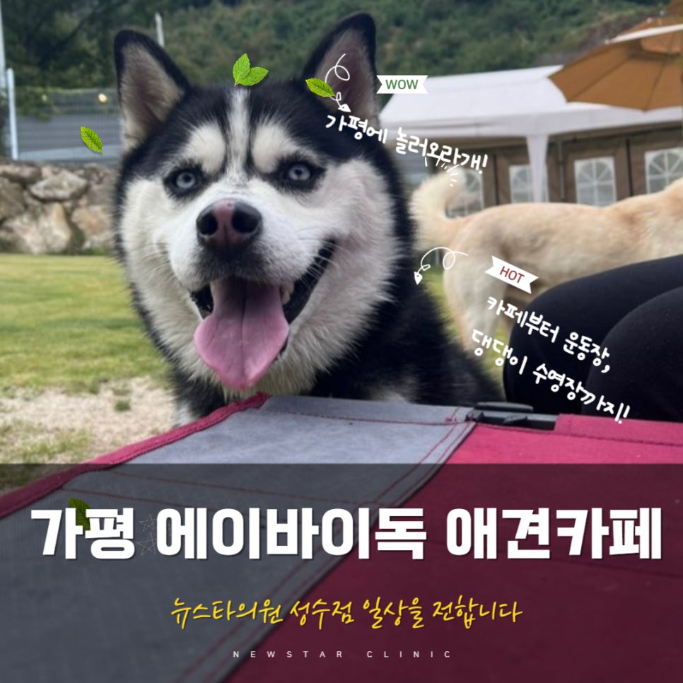 카페우리집 이미지