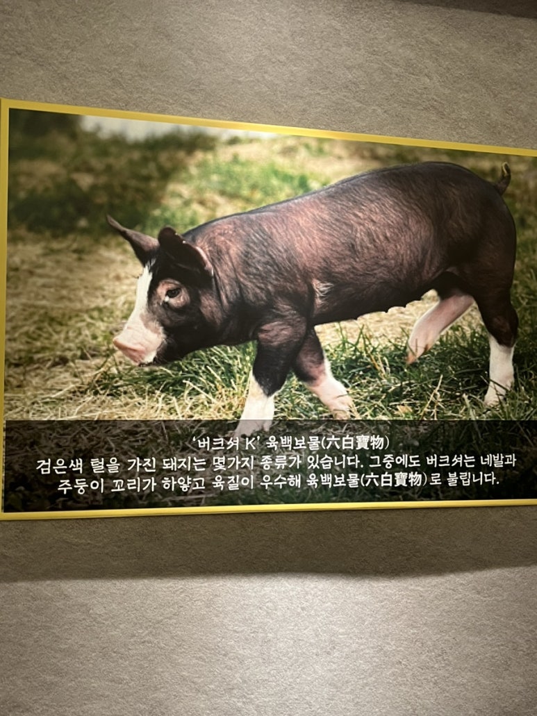 육백보물 이미지