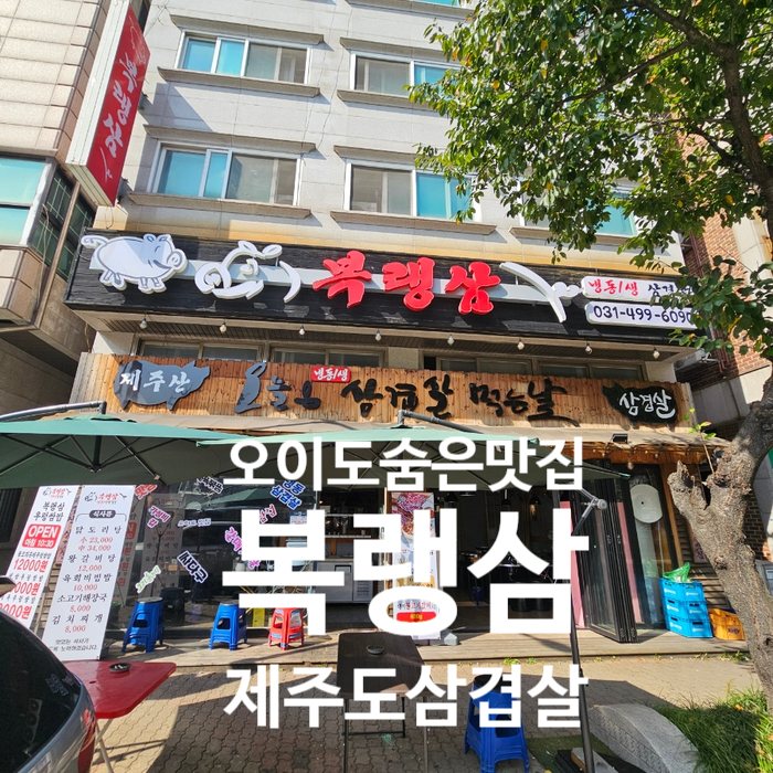 복랭삼 이미지