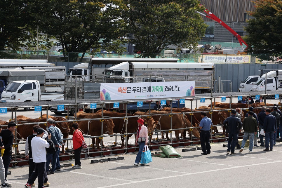 세종종합축산물 이미지