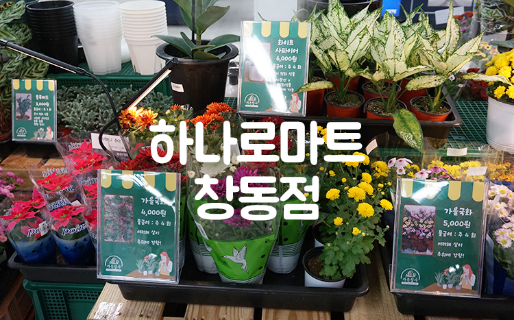 하나로마트화장품코너 이미지