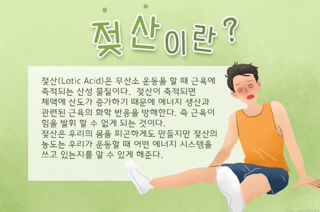 땀PT 이미지