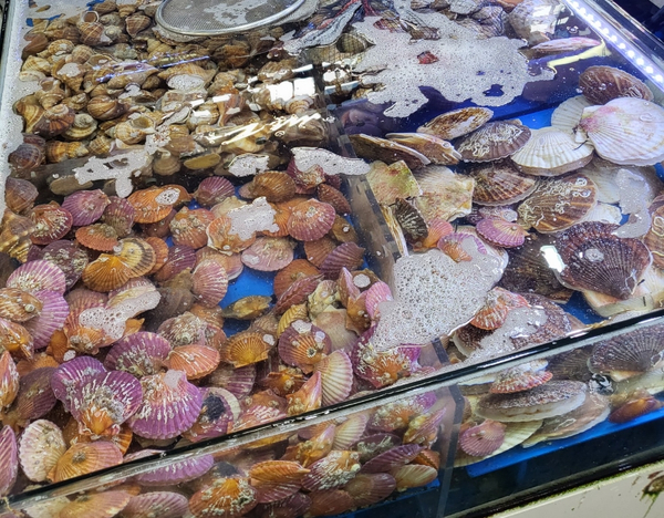 김천맑은계곡오토캠핑장 이미지