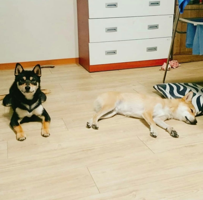 스튜디오매미 이미지