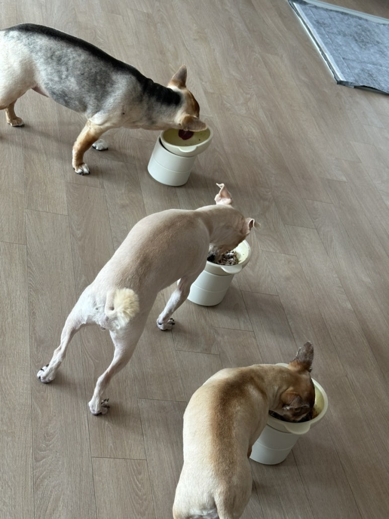 민정세탁소 이미지