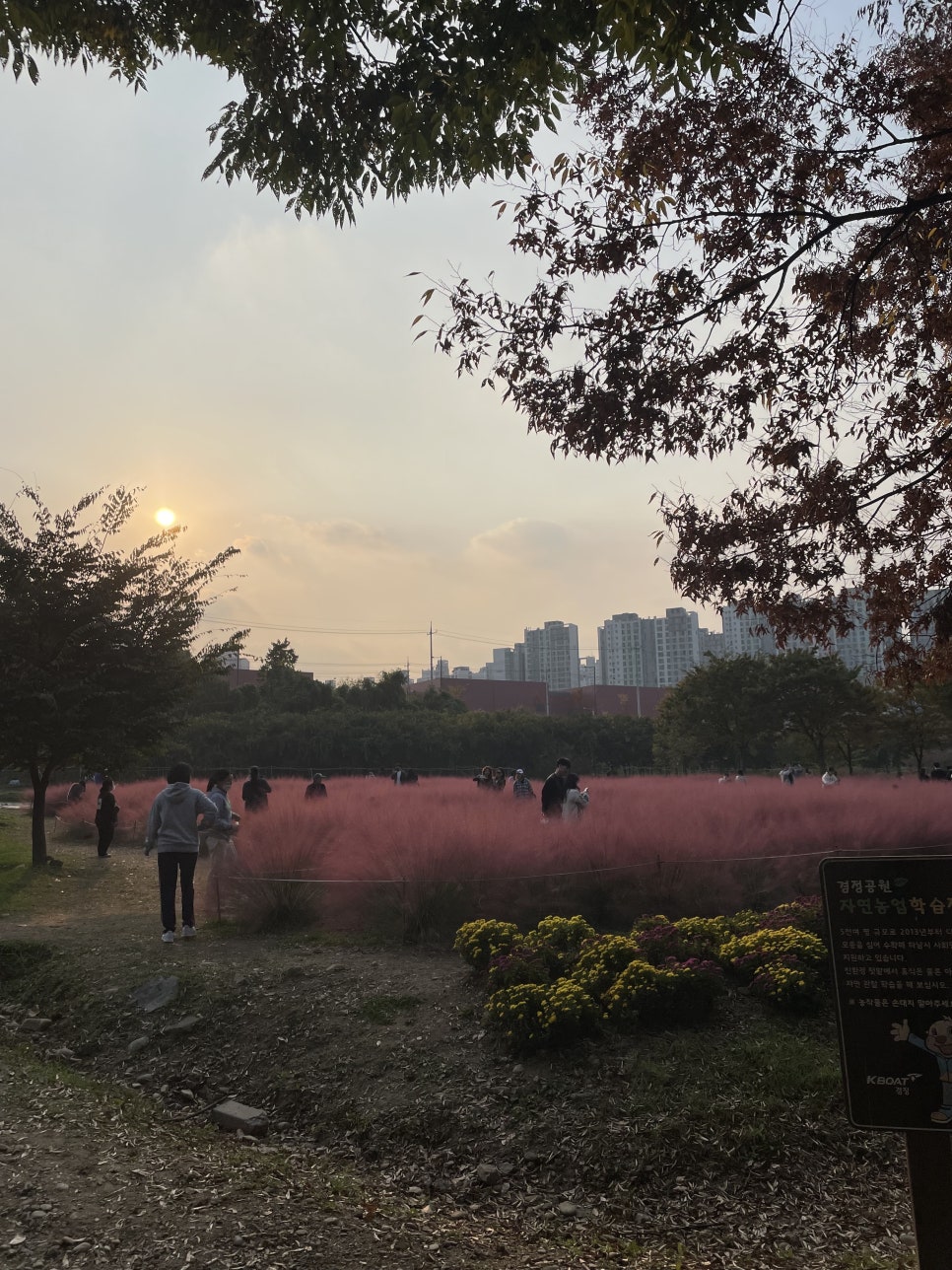 미사농원 이미지