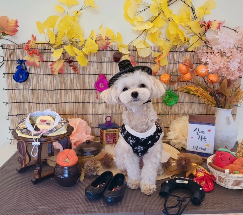 오알카페 이미지