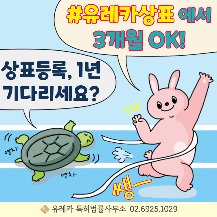 이와이스포츠 이미지