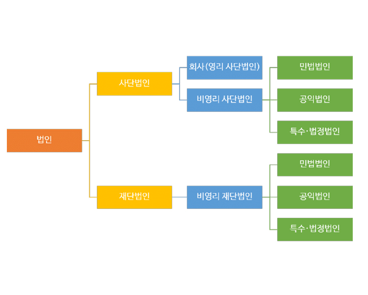 세무법인에이스 이미지