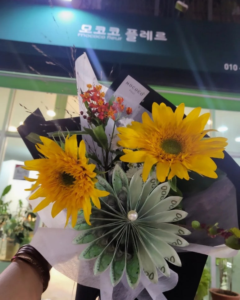 모코코플레르 이미지