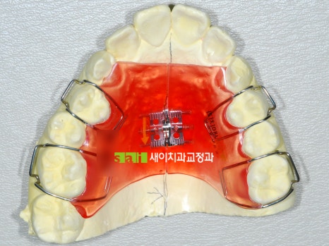 새이치과교정과치과의원 이미지