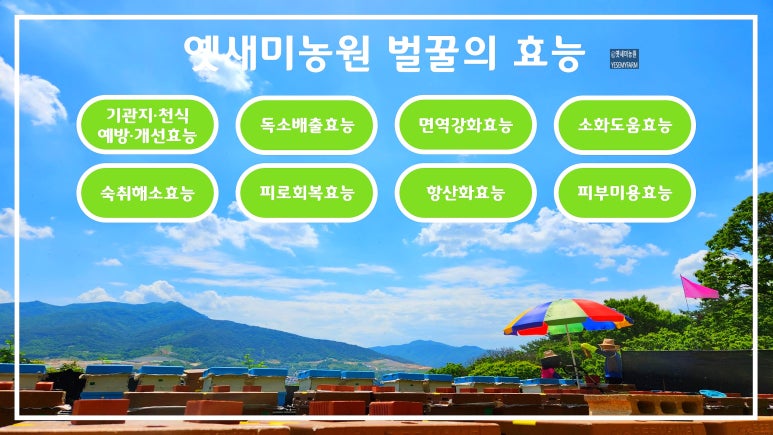 새미유통 이미지