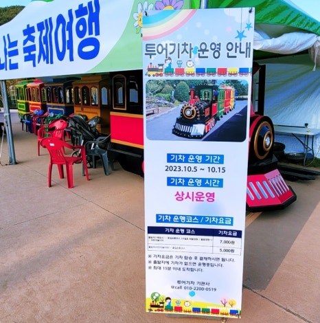 구절초 꽃축제 투어기차 이미지