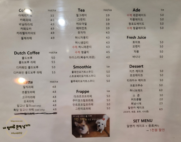 린비또 이미지
