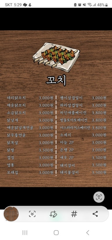 갈라파꼬치 이미지