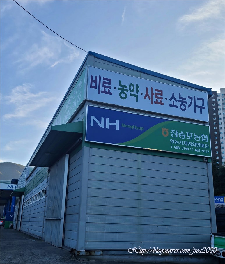 장승포주유소 이미지