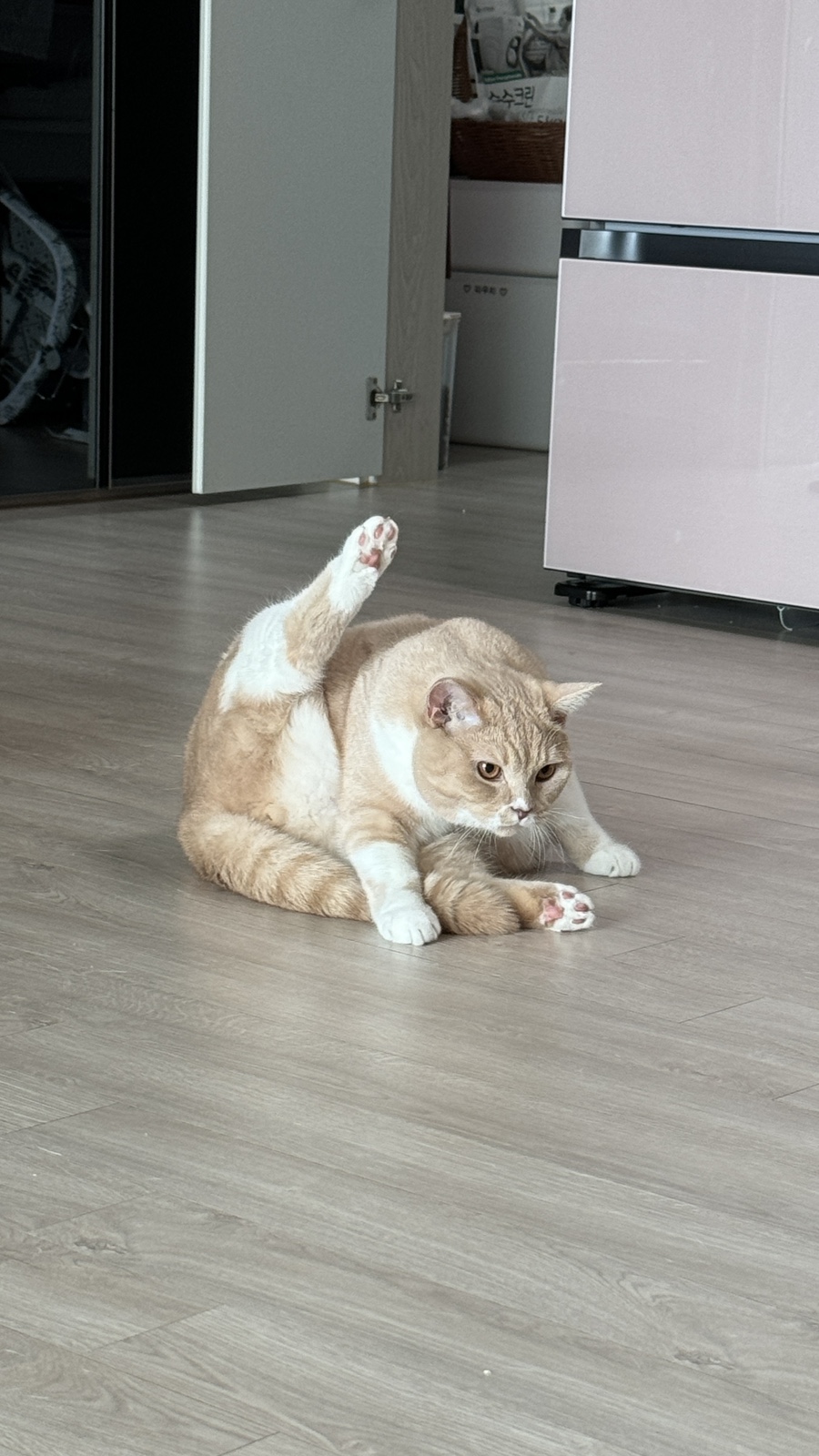 젠듀 이미지