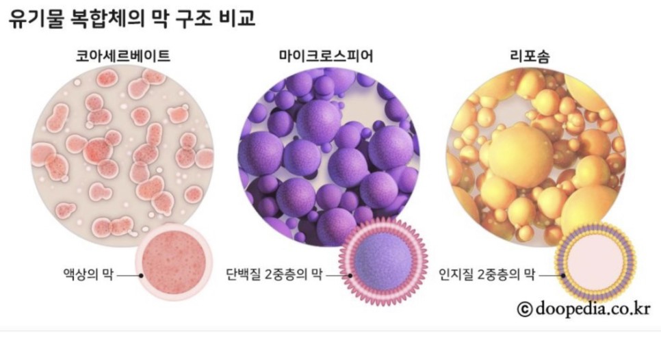 미라클에디션 이미지