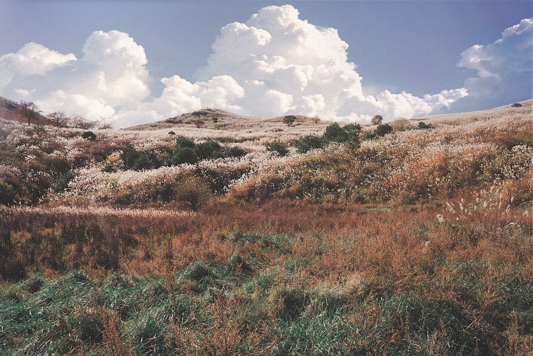 하루에(Harue) 이미지