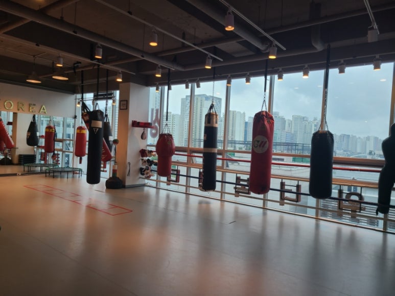 한국위너복싱 이미지
