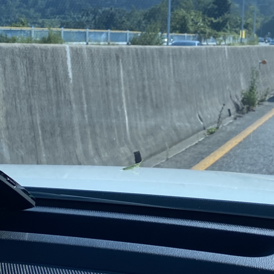 포르타나 국제신도시점 이미지
