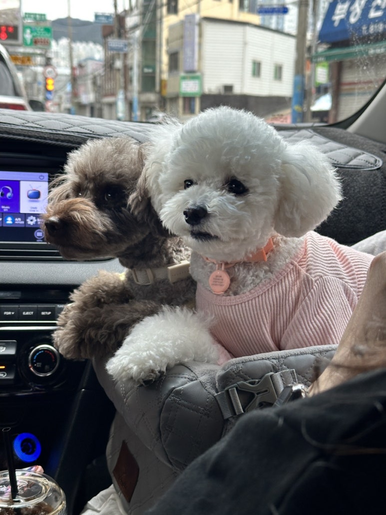 봄날펜션 이미지