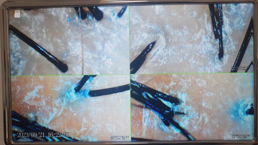 제제의 힐링살롱 이미지