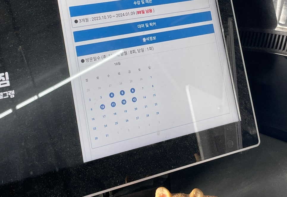덤스 이미지