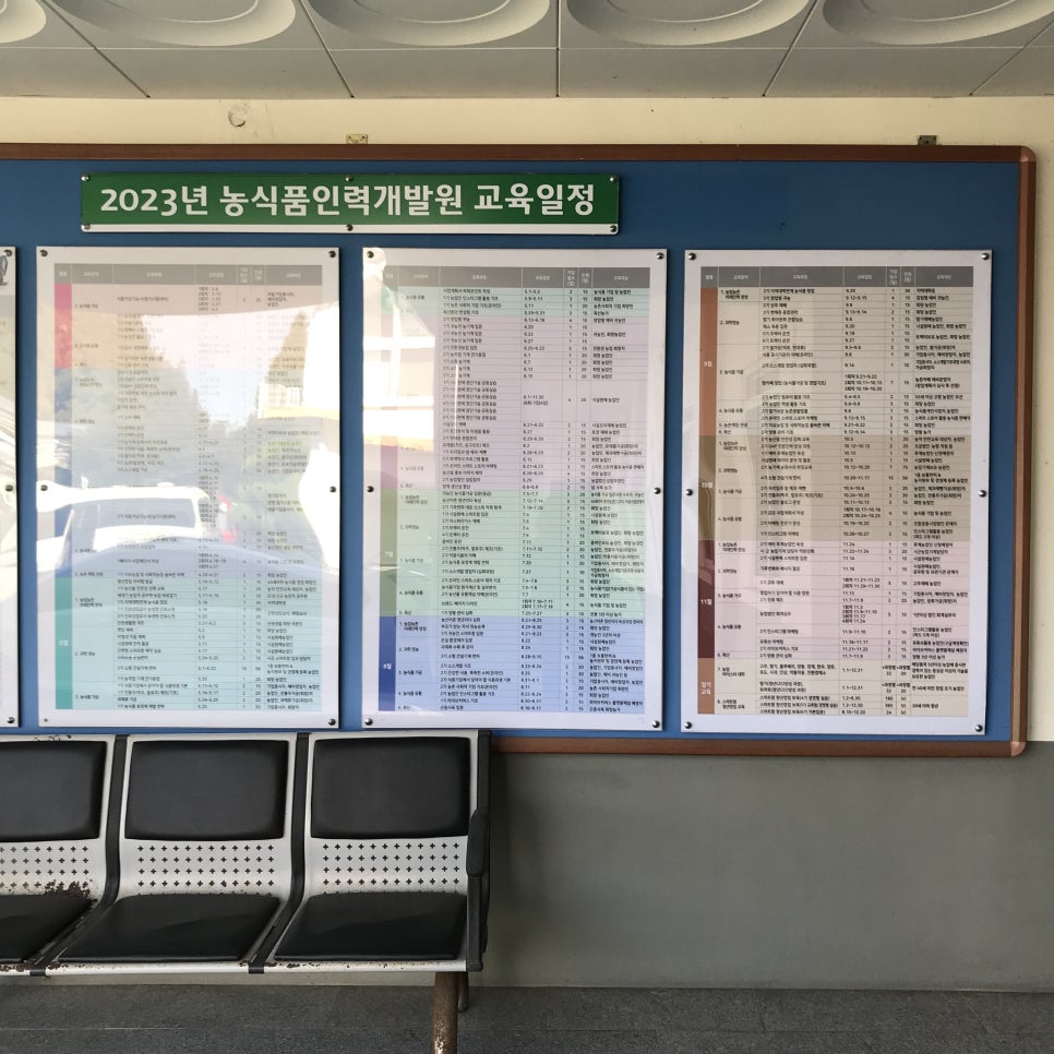 성지인력 이미지