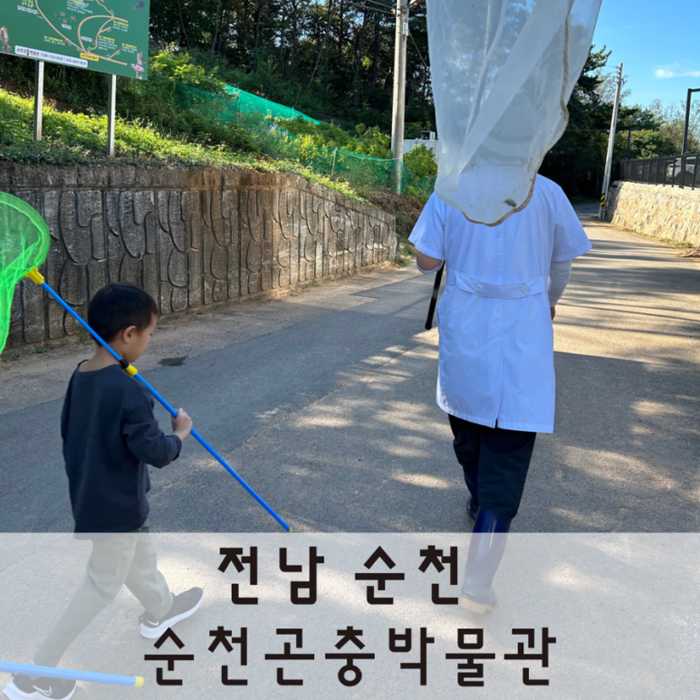 순천곤충박물관 이미지