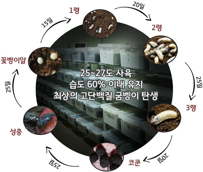 준일농장 이미지