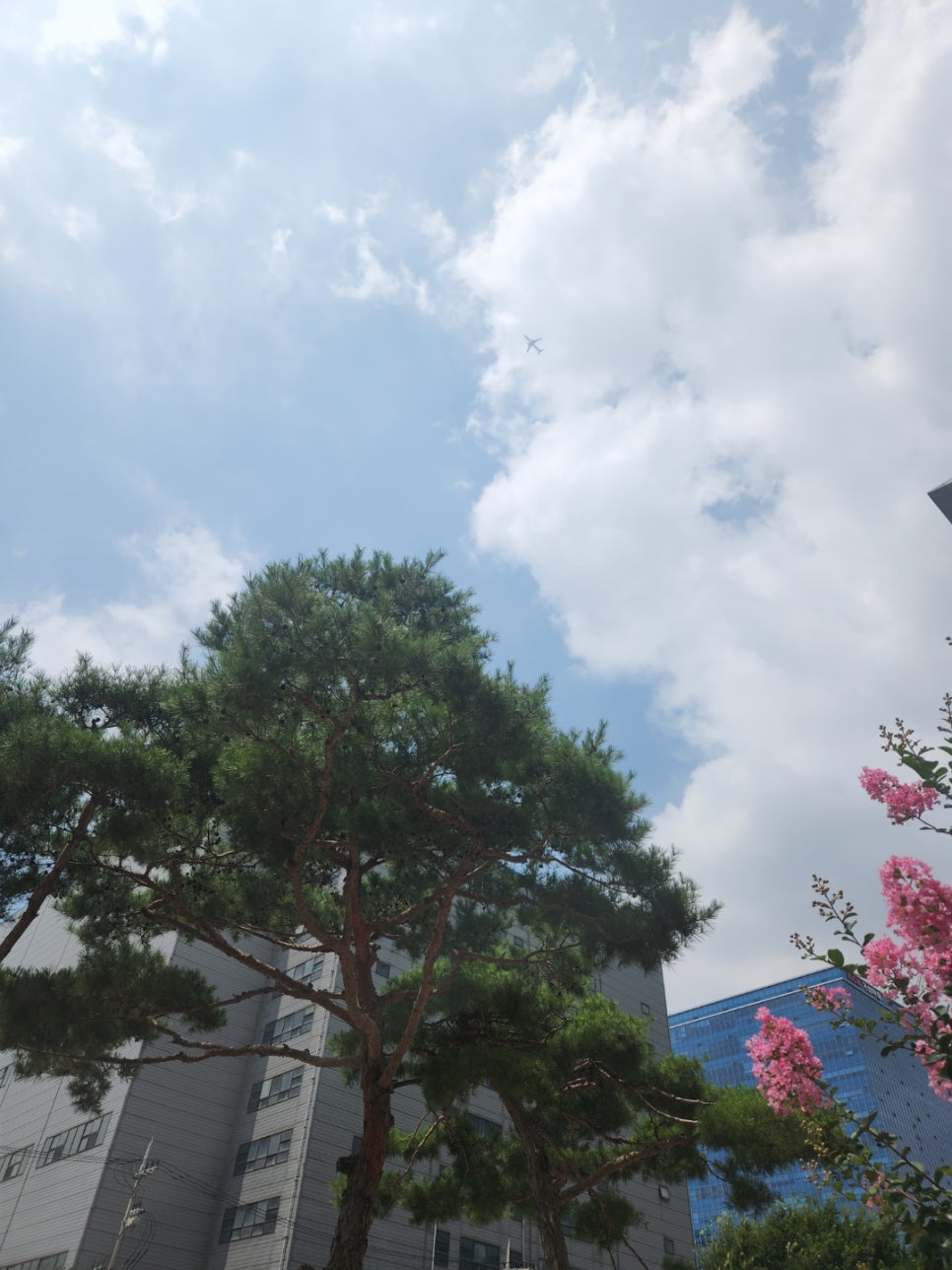 돼지촌 이미지