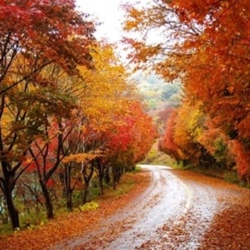 한마음펜션 이미지