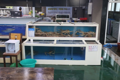 행복가득수산 이미지