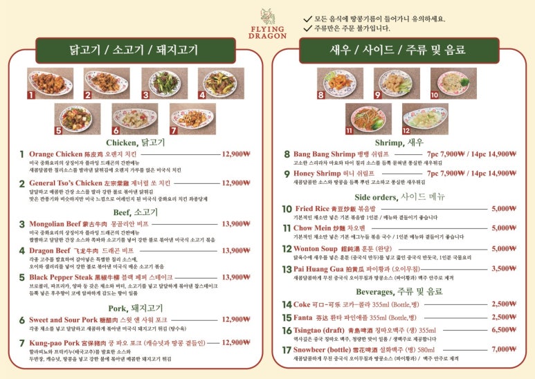 플라잉드래곤 이미지