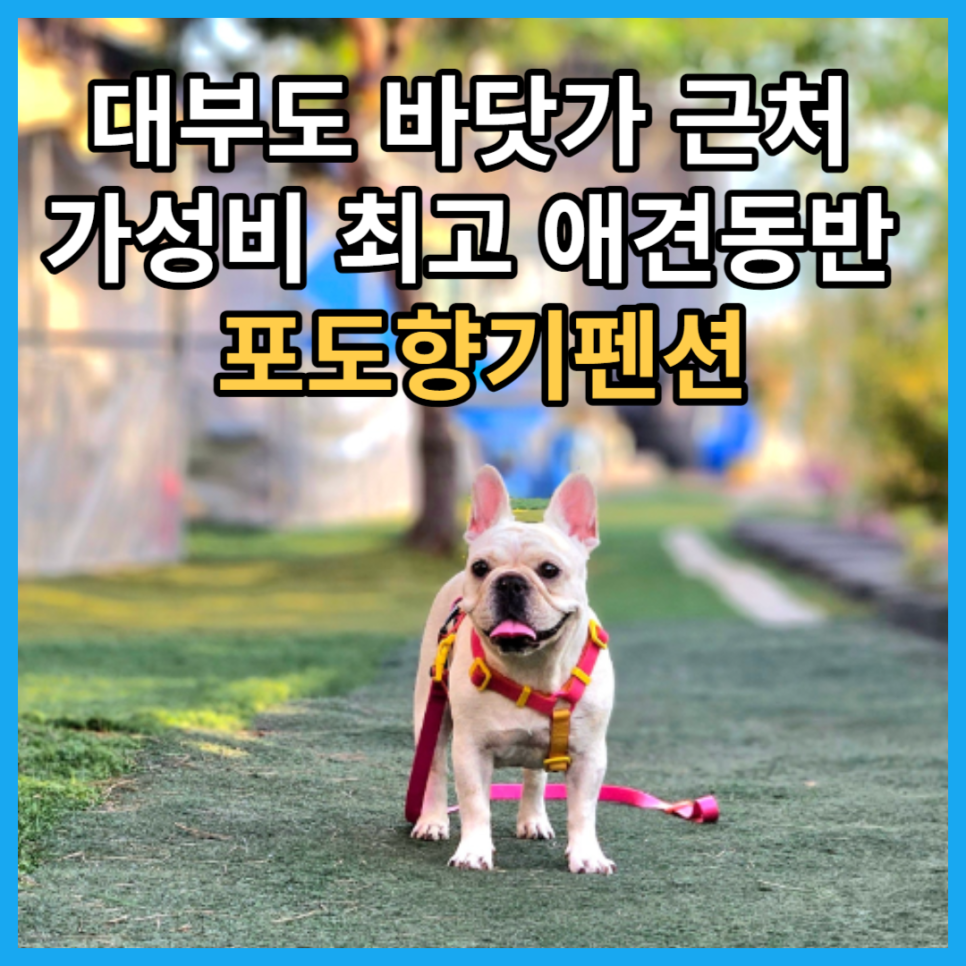 바다랑포도펜션 이미지
