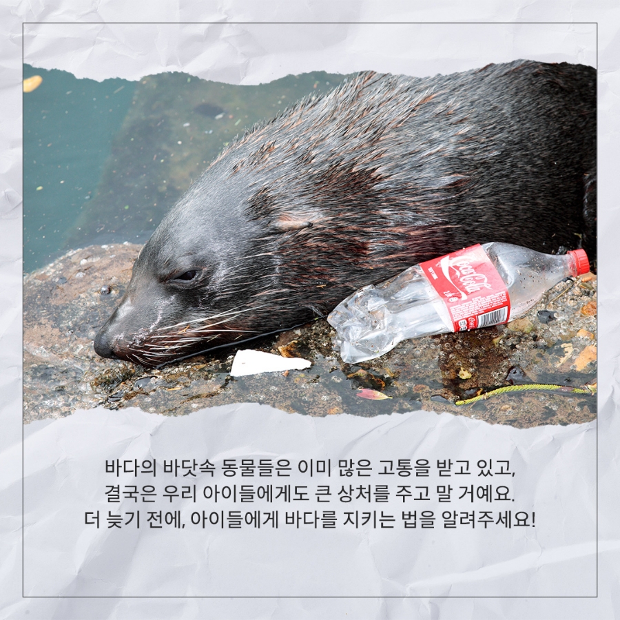 (주)지구환경 이미지