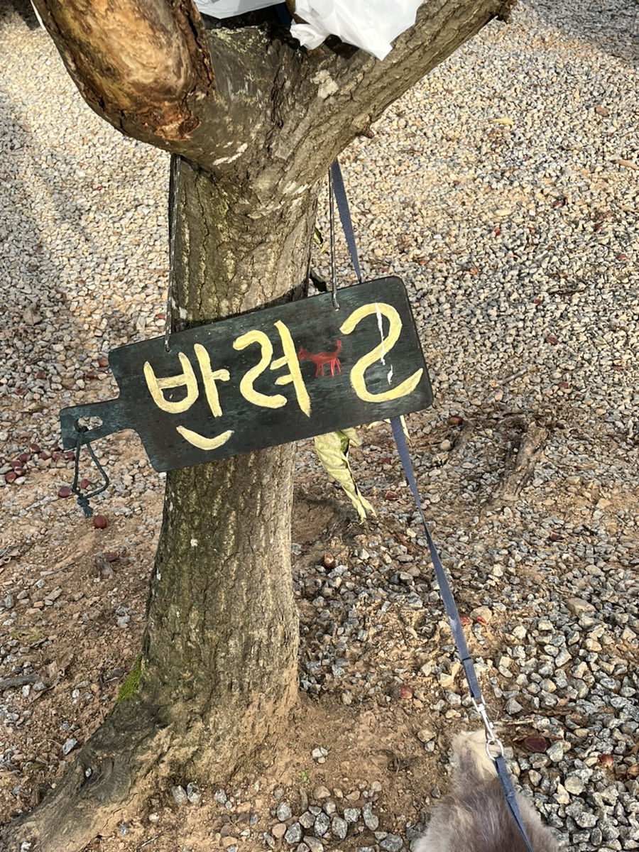 트리팜 관광농원 이미지