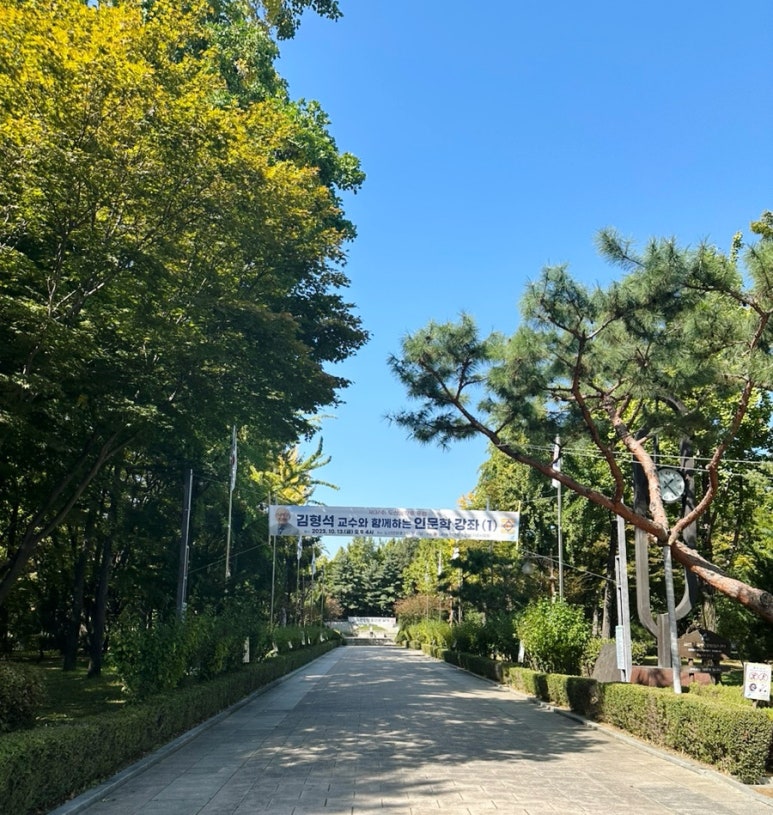 예스압구정 이미지