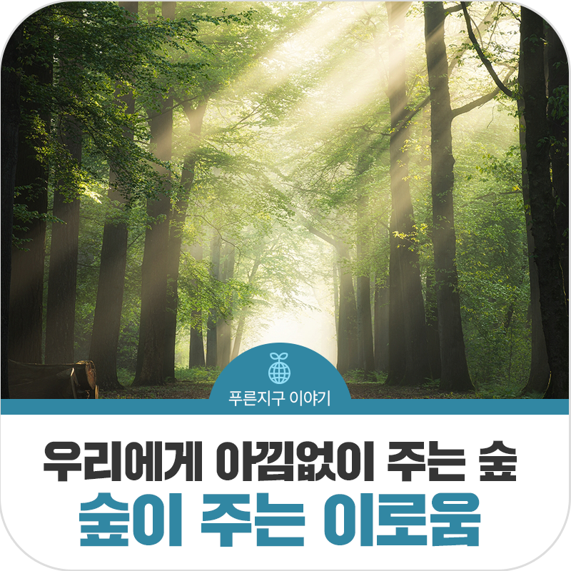아낌없이주는숲연구소 이미지