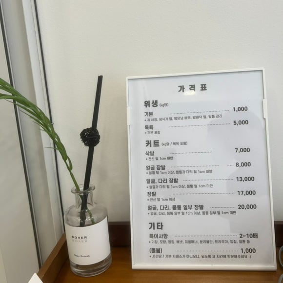 뷰티,올바름 이미지