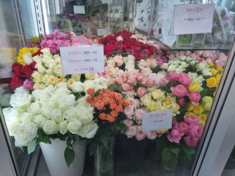 부천꽃집데이브앤스텔라플라워즈 이미지