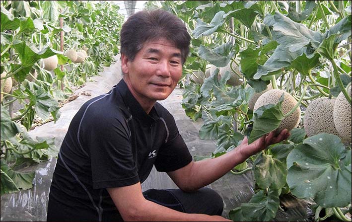 곡성멜론 주식회사 이미지