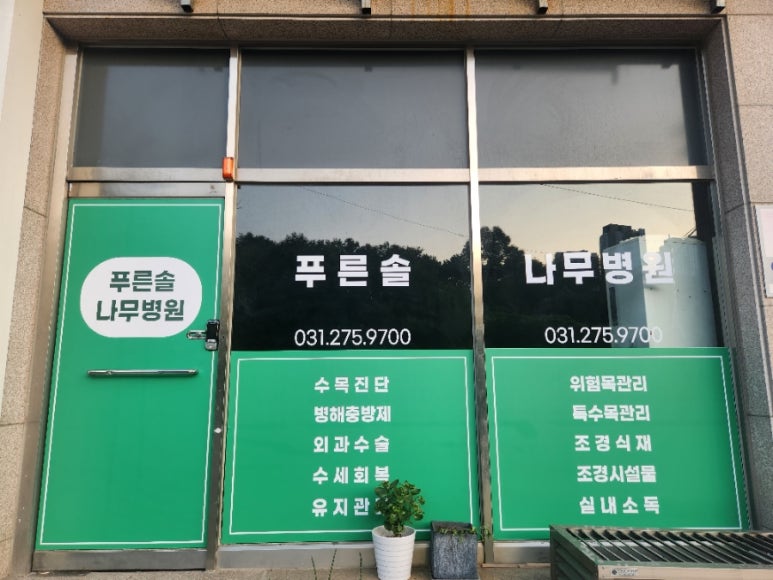푸른솔나무병원 이미지